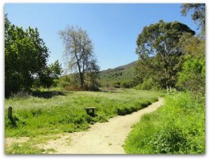 Mission...Photo of a Trail in Garland Ranch Regional Park In Carmel, California