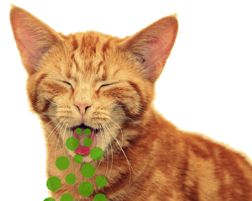 Preventing Common Running Problems...Sick Orange Cat Vomiting Green Dots