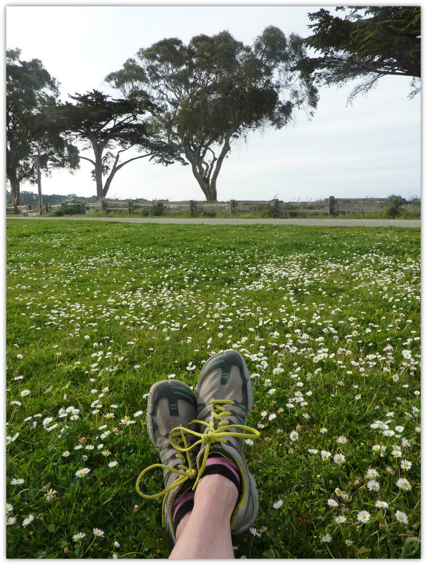 Dallying With Daisies...O.M. Taking a Break Sitting on Grass Littered with Daisies