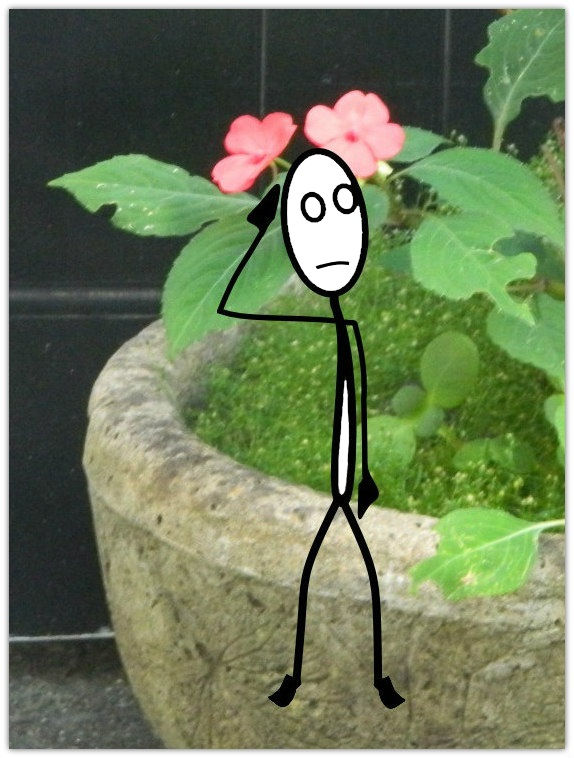 Hip Stretching Exercises...Jack, the Stickman, Sitting on the Edge of a Flower Pot and Thinking