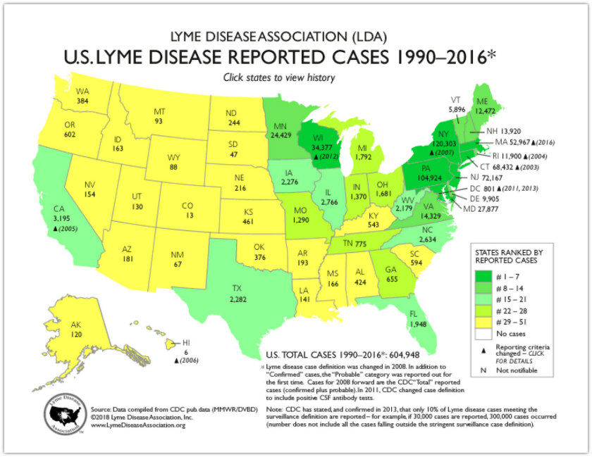 Avoiding Tick Bites...Map Of The United States Showing the Prevalence of Lyme Disease from 1990 to 2016