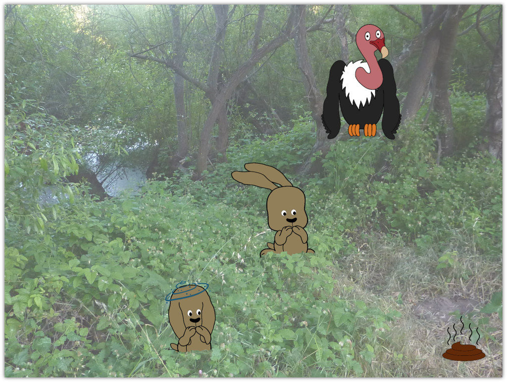 When Nature Calls...Two Rabbits and a Vulture Next to a Pond and a Pile of Poop